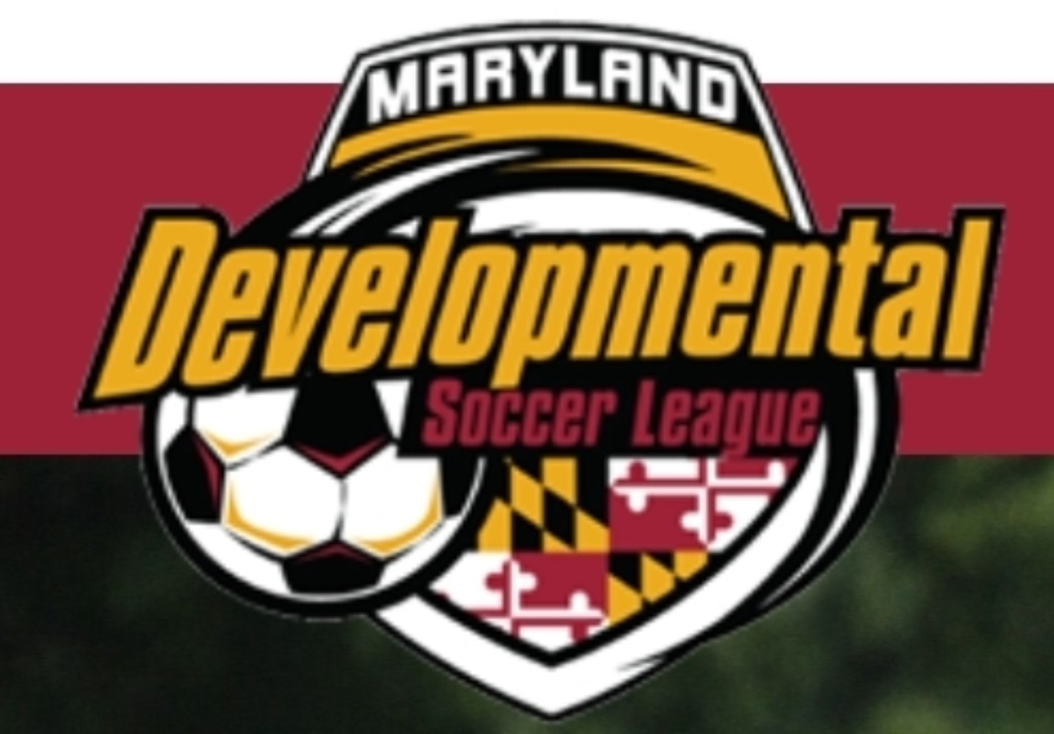MDSL logo